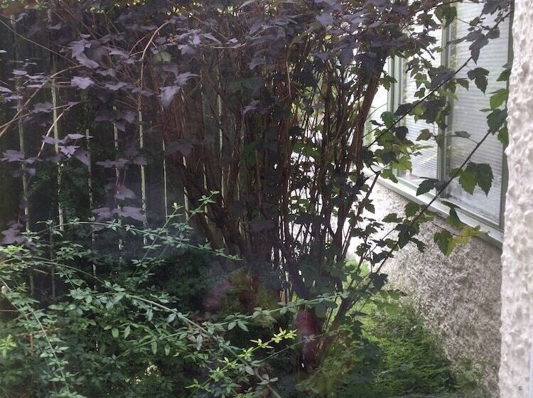 پانسیون The Firs