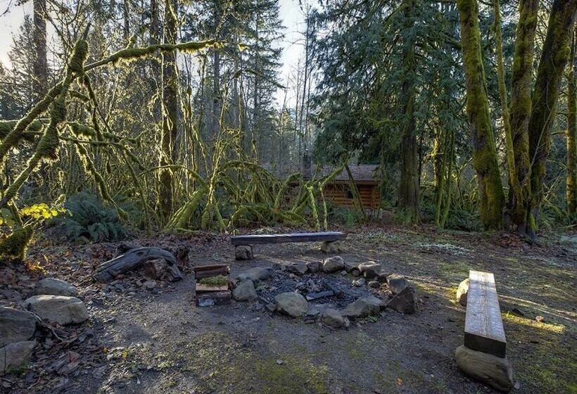 02gs Wifi D/w W/d Sleeps 8