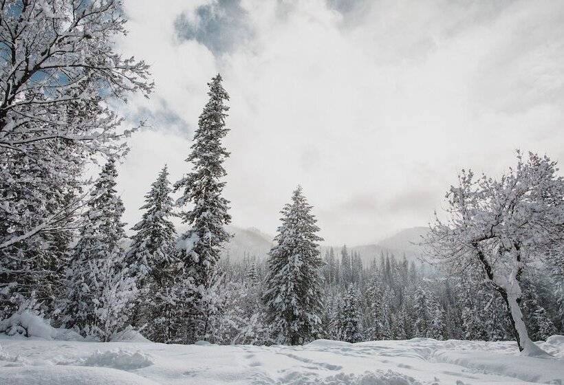 ホテル Lochsa Lodge