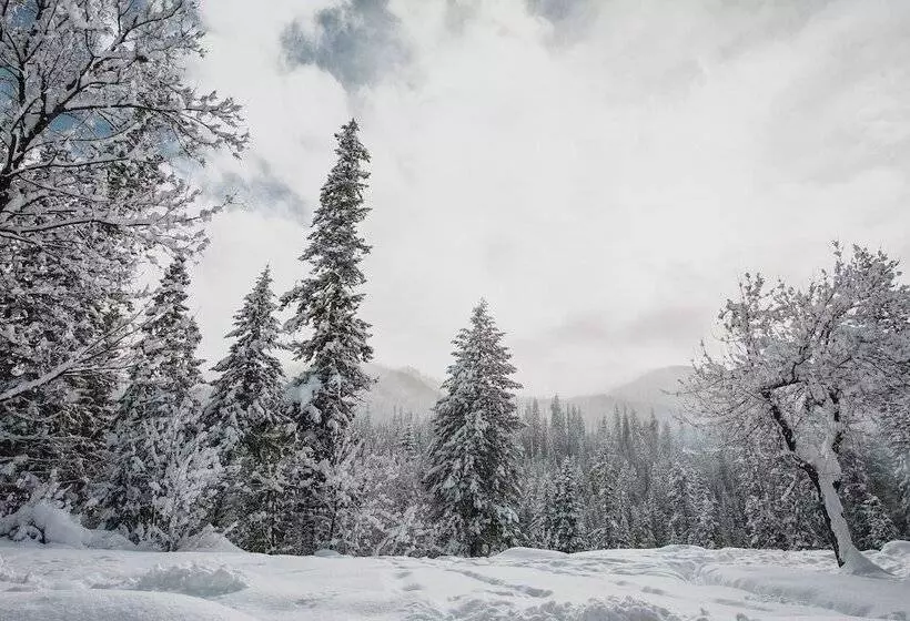 Hotelli Lochsa Lodge