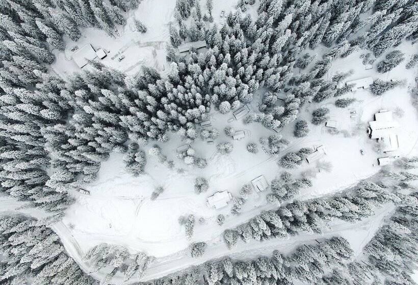 ホテル Lochsa Lodge