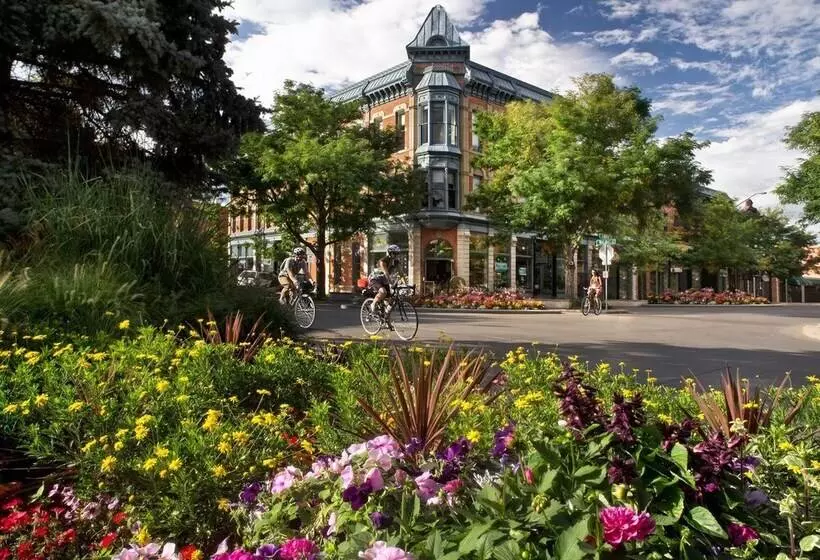 Retro Inspired Downtown Loveland Apartment