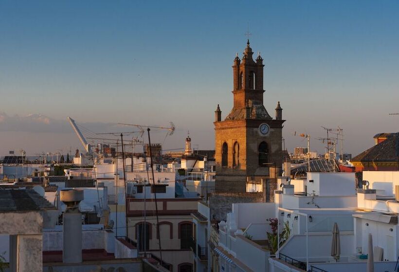 تختخواب و صبحانه Pajaro Rebelde