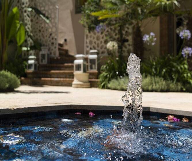 تختخواب و صبحانه Pajaro Rebelde