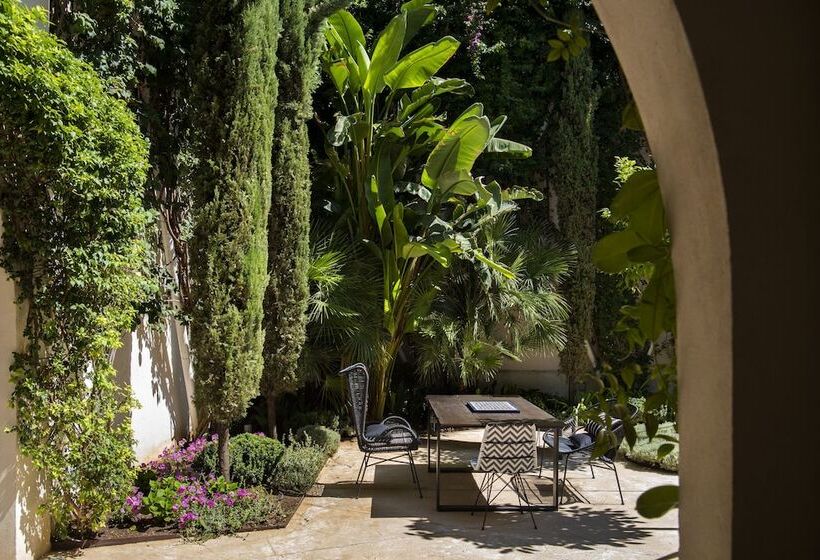 تختخواب و صبحانه Pajaro Rebelde