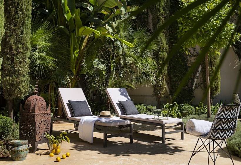 تختخواب و صبحانه Pajaro Rebelde