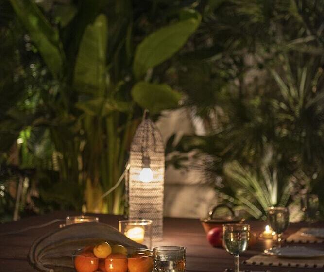 تختخواب و صبحانه Pajaro Rebelde