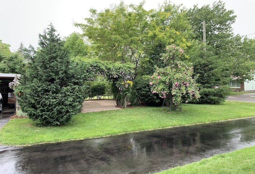 بنسيون The York House