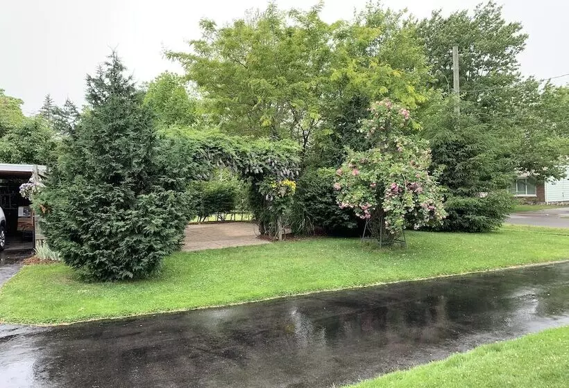 Majatalo The York House