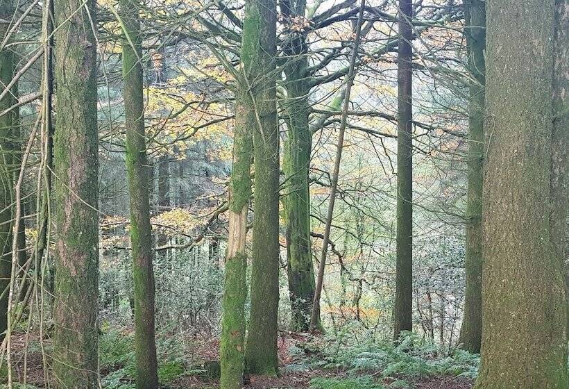 Cosy Cottage In The Blackdown Hills, Devon
