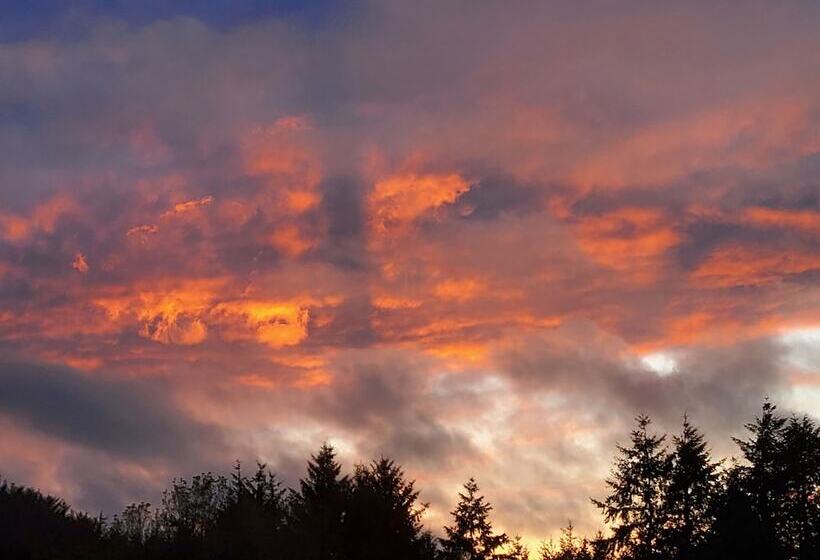 Cosy Cottage In The Blackdown Hills, Devon