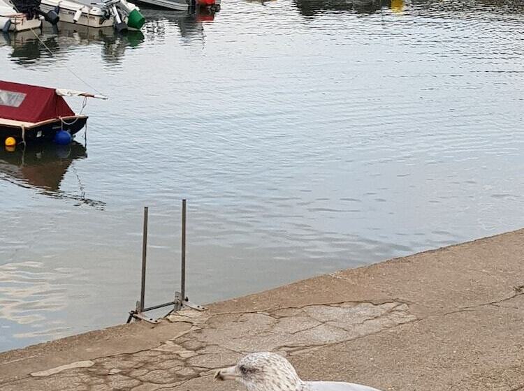 Cosy Cottage In The Blackdown Hills, Devon