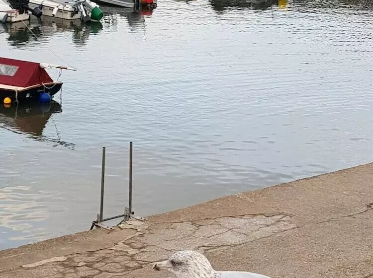 Cosy Cottage In The Blackdown Hills, Devon