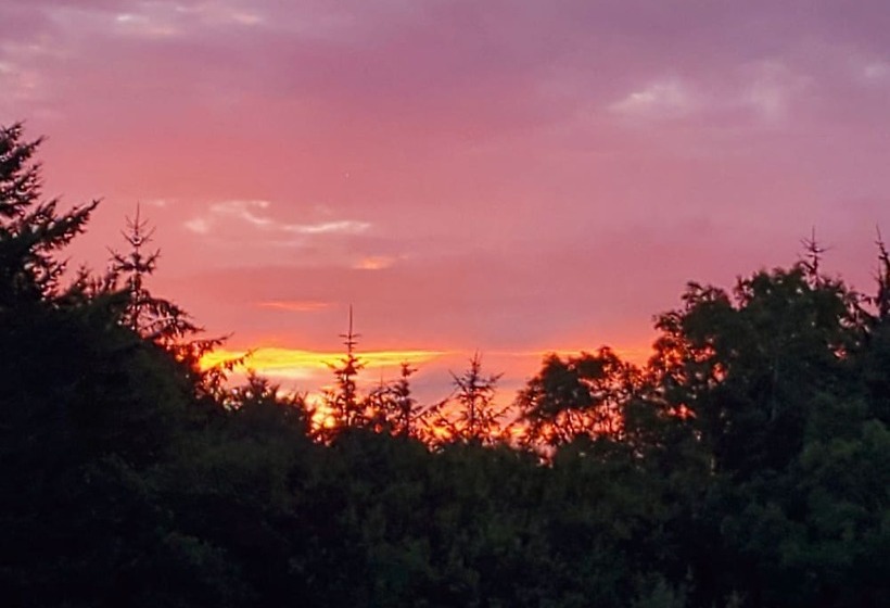 Cosy Cottage In The Blackdown Hills, Devon