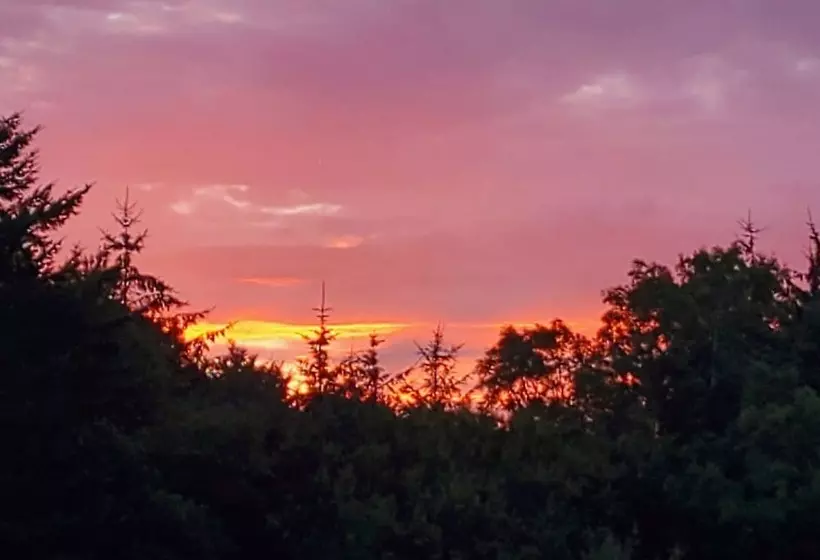 Cosy Cottage In The Blackdown Hills, Devon