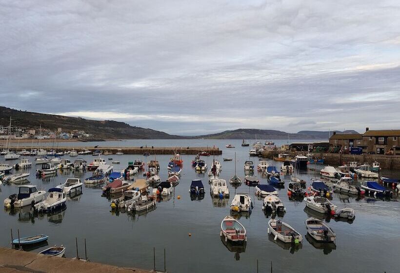 Cosy Cottage In The Blackdown Hills, Devon