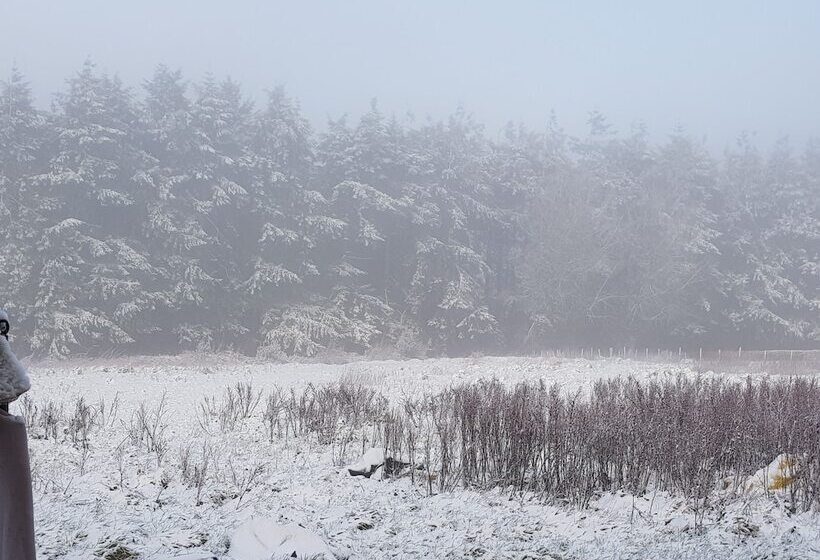 Cosy Cottage In The Blackdown Hills, Devon