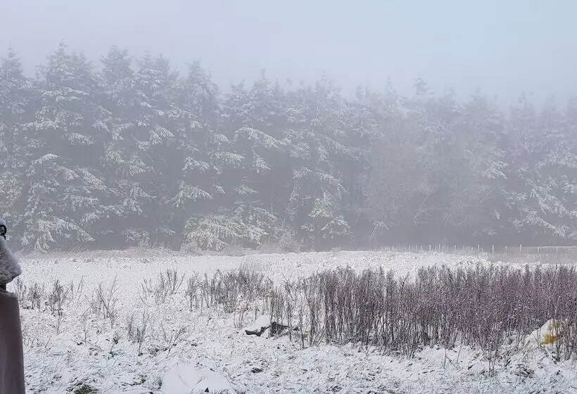 Cosy Cottage In The Blackdown Hills, Devon