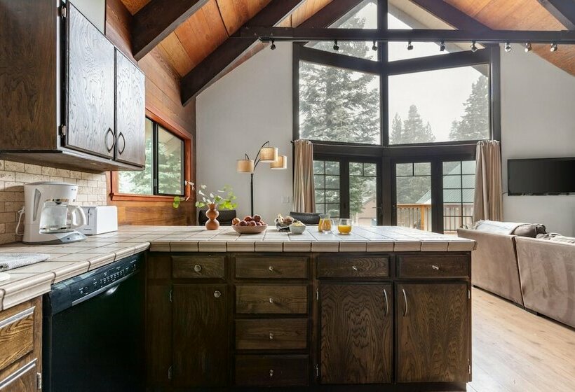 Davos Dr 2 Criterion 27 Emerald