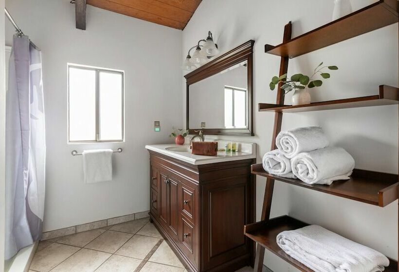 Davos Dr 2 Criterion 27 Emerald