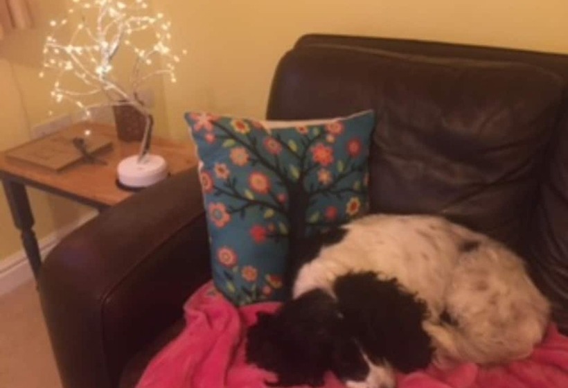 Stunning Lake District Cottage