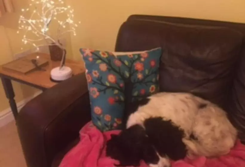 Stunning Lake District Cottage