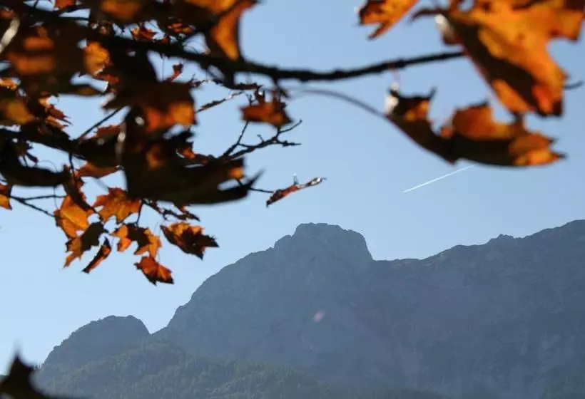 Bauernhof Schrattenbauer