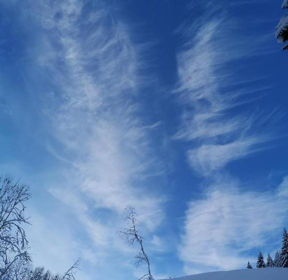 צימר Andrea 3 Sterne Superior