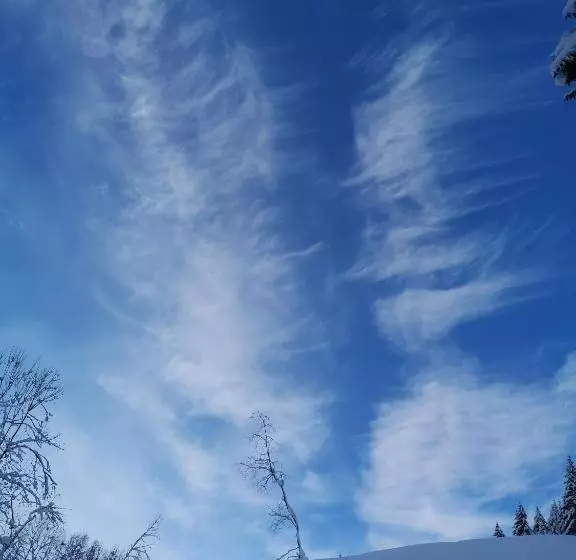 مبيت وإفطار Andrea 3 Sterne Superior