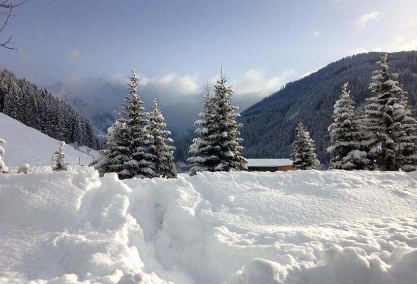 צימר Andrea 3 Sterne Superior