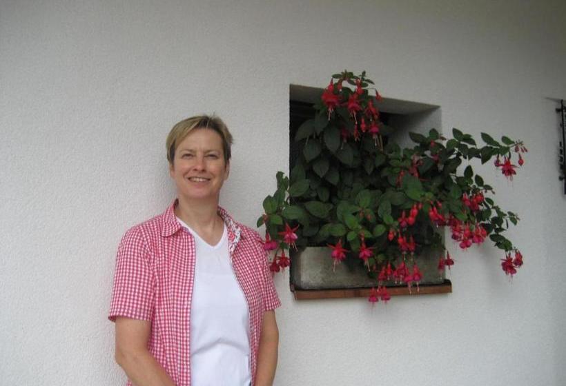 Bed and Breakfast Pension Danler