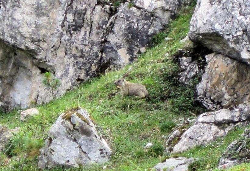 Bed and Breakfast Pension Danler