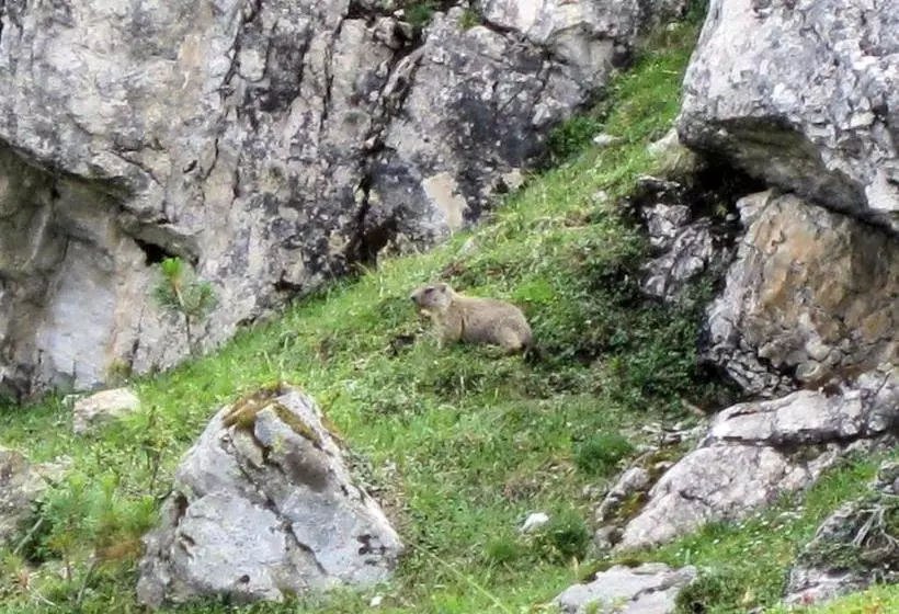 ベッドアンドブレックファースト Pension Danler