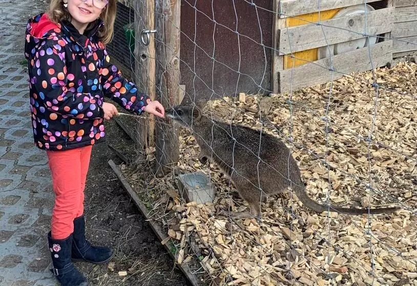 민박 Pension Schmiedhof