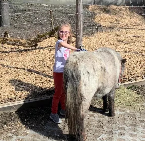 민박 Pension Schmiedhof