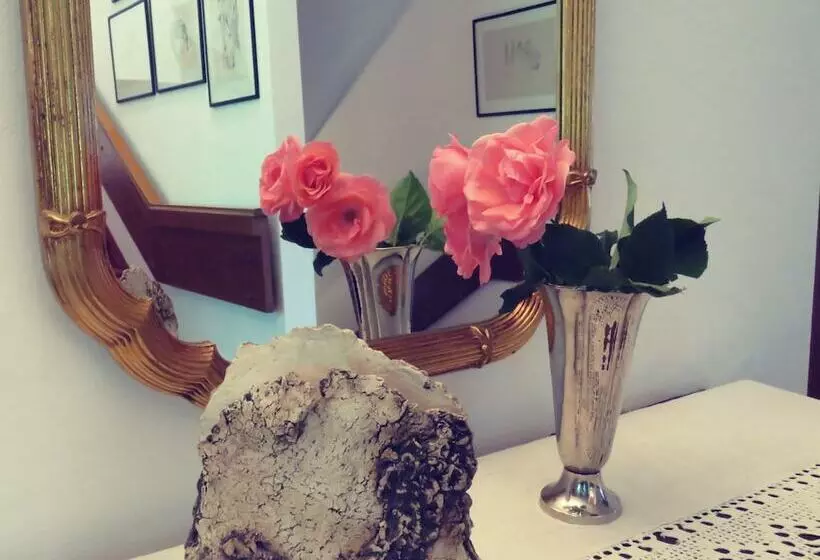 Bed and Breakfast Sportpension Thayer