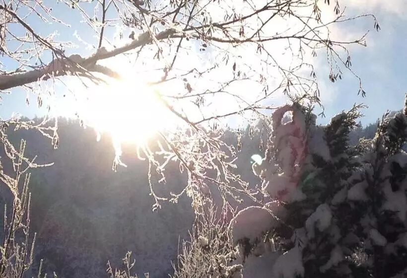 Golf Und Sporthotel Moarhof