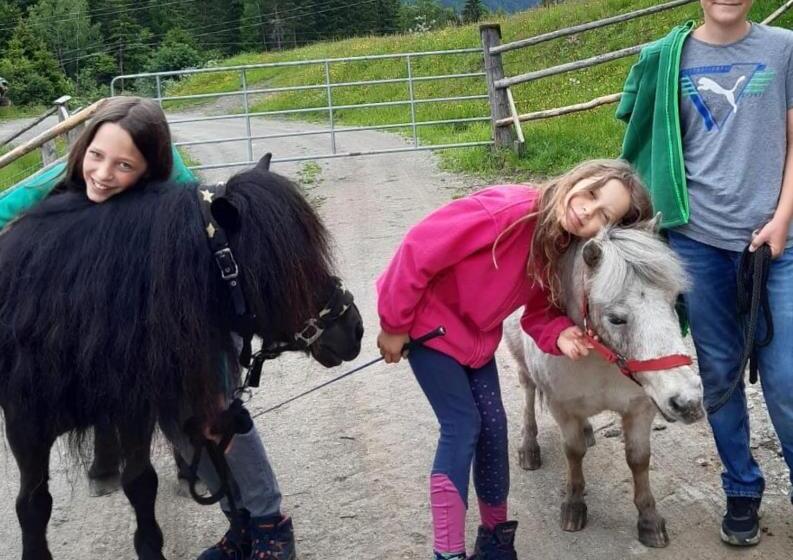 Gästehaus Biobauernhof Mandl