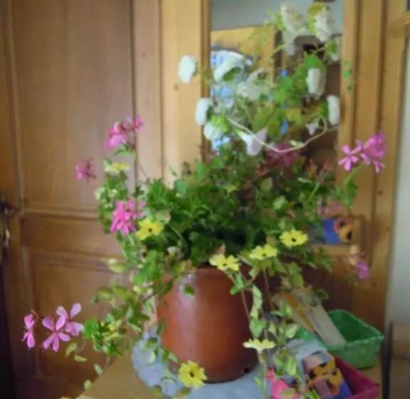 Gästehaus Biobauernhof Mandl