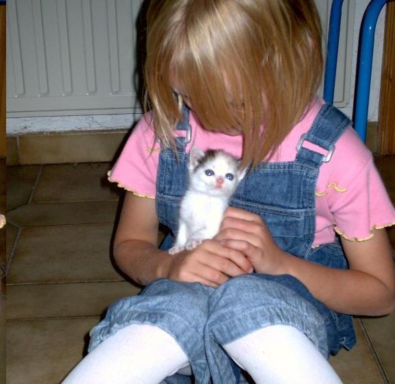 Gästehaus Biobauernhof Mandl