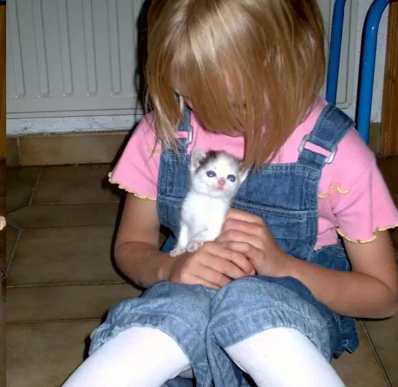 Gästehaus Biobauernhof Mandl