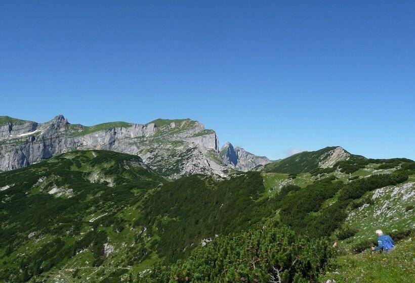 酒店 Almhof Lackner