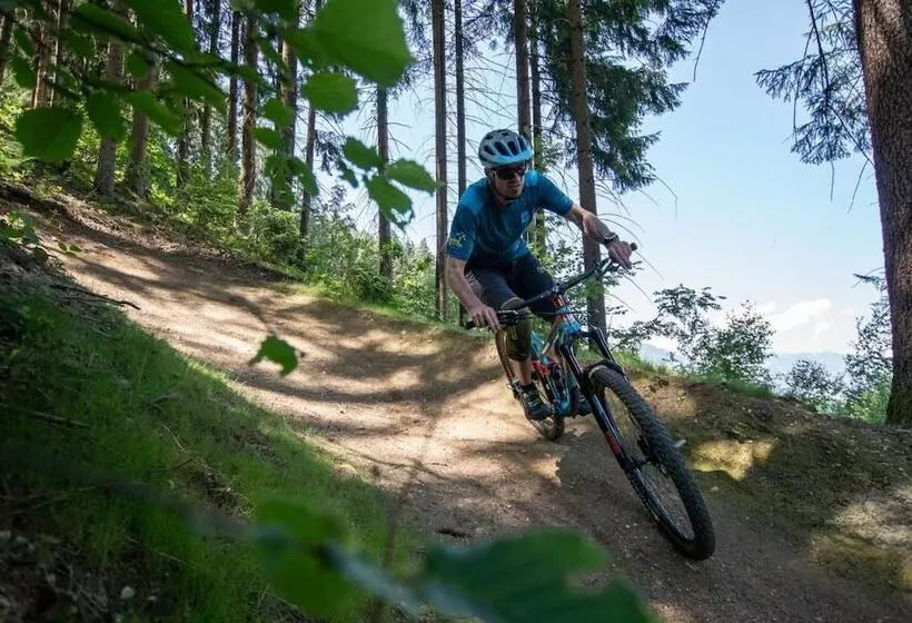 호텔 Almhof Lackner