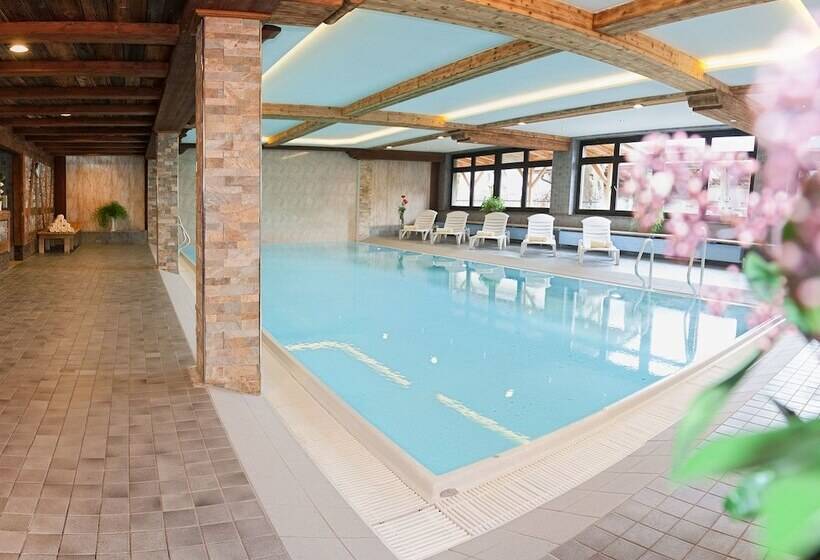 酒店 Almhof Lackner