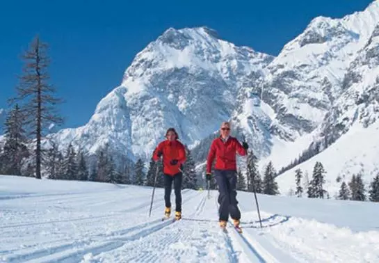 住宿加早餐  Alpina Pension