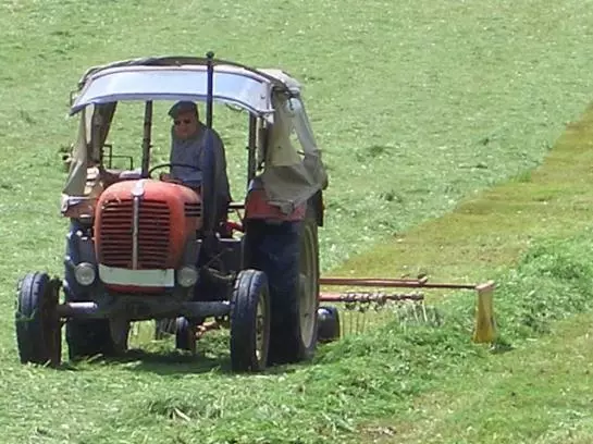 Bauernhof-familie Scheidl
