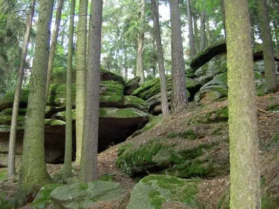 Bauernhof-familie Scheidl
