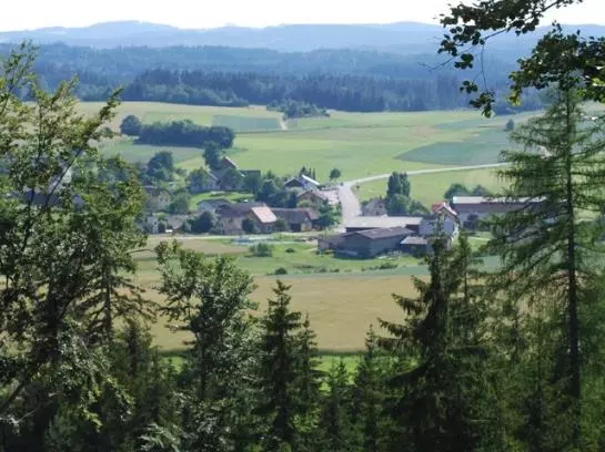 Bauernhof-familie Scheidl