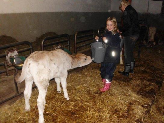 Ferienhaus Hanserhof