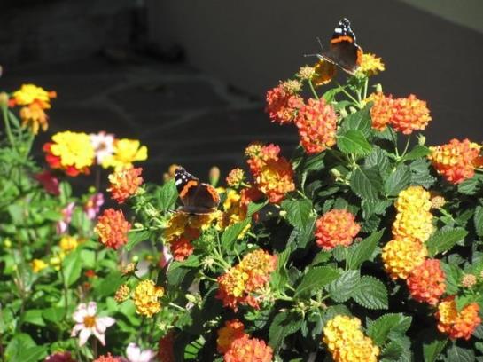 Bauernhof Oberniggler